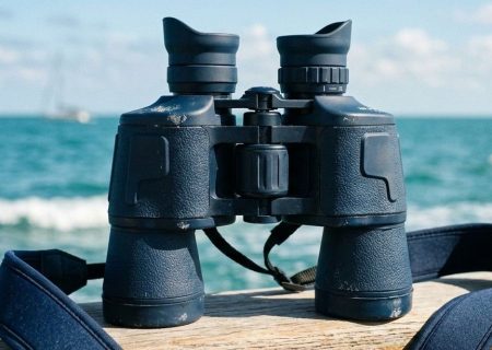 Why You Should Own Binoculars: 7 Key Benefits 